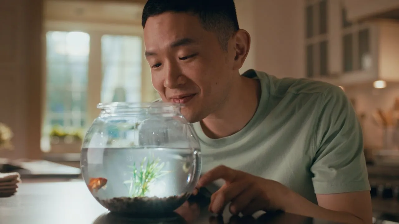 AMAZON BLINK Goldfish :15 — commercial edited by Ryan Lewis